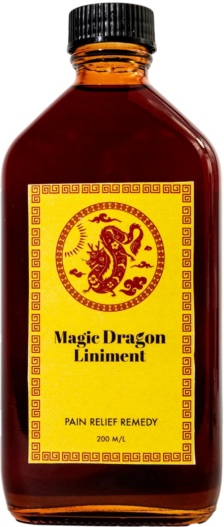 magic dragon plastic plastic